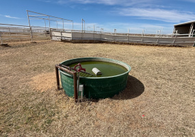 Donley County, Texas, ,Land,For sale,1120