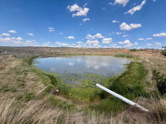 Collingsworth County, Texas, ,Land,For sale,1124