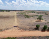Collingsworth County, Texas, ,Land,For sale,1124 Collingsworth County, Texas, ,Land,For sale,1124
