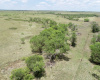 Hall County, Texas, ,Land,For sale,1125