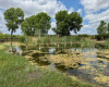 Hall County, Texas, ,Land,For sale,1125
