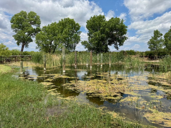 Hall County, Texas, ,Land,For sale,1125