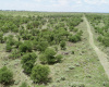 Hall County, Texas, ,Land,For sale,1125