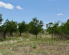 Hall County, Texas, ,Land,For sale,1125
