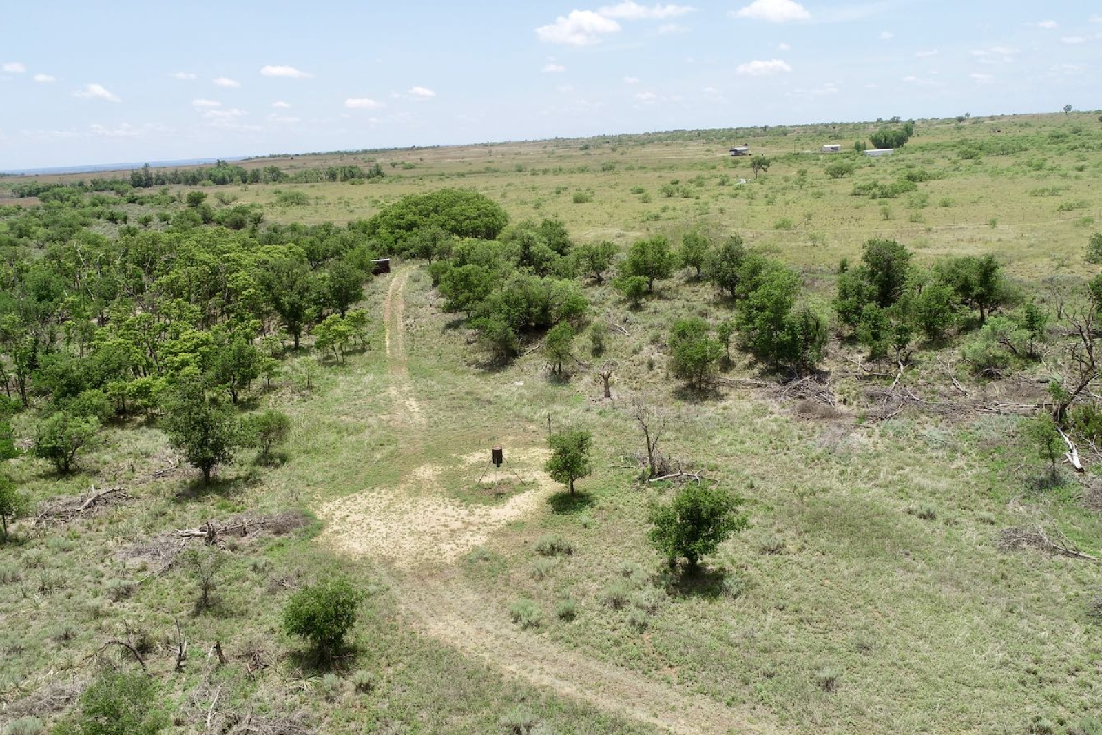 Hall County, Texas, ,Land,For sale,1125