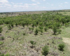 Hall County, Texas, ,Land,For sale,1125