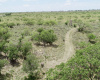 Hall County, Texas, ,Land,For sale,1125