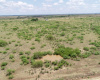 Hall County, Texas, ,Land,For sale,1125