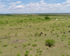 Hall County, Texas, ,Land,For sale,1125