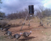 Hall County, Texas, ,Land,For sale,1125 Hall County, Texas, ,Land,For sale,1125