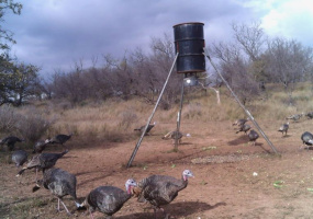 Hall County, Texas, ,Land,For sale,1125 Hall County, Texas, ,Land,For sale,1125