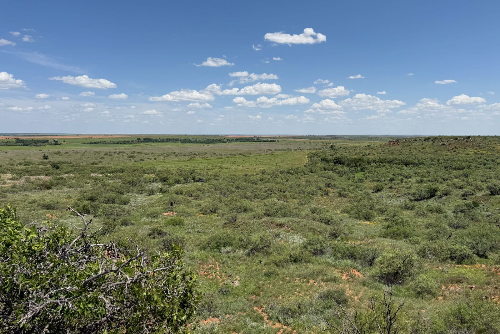 Hall County, Texas, ,Land,For sale,1127 Hall County, Texas, ,Land,For sale,1127