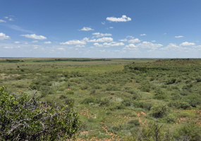 Hall County, Texas, ,Land,For sale,1127 Hall County, Texas, ,Land,For sale,1127