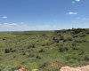 Hall County, Texas, ,Land,For sale,1127 Hall County, Texas, ,Land,For sale,1127