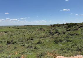 Hall County, Texas, ,Land,For sale,1127 Hall County, Texas, ,Land,For sale,1127