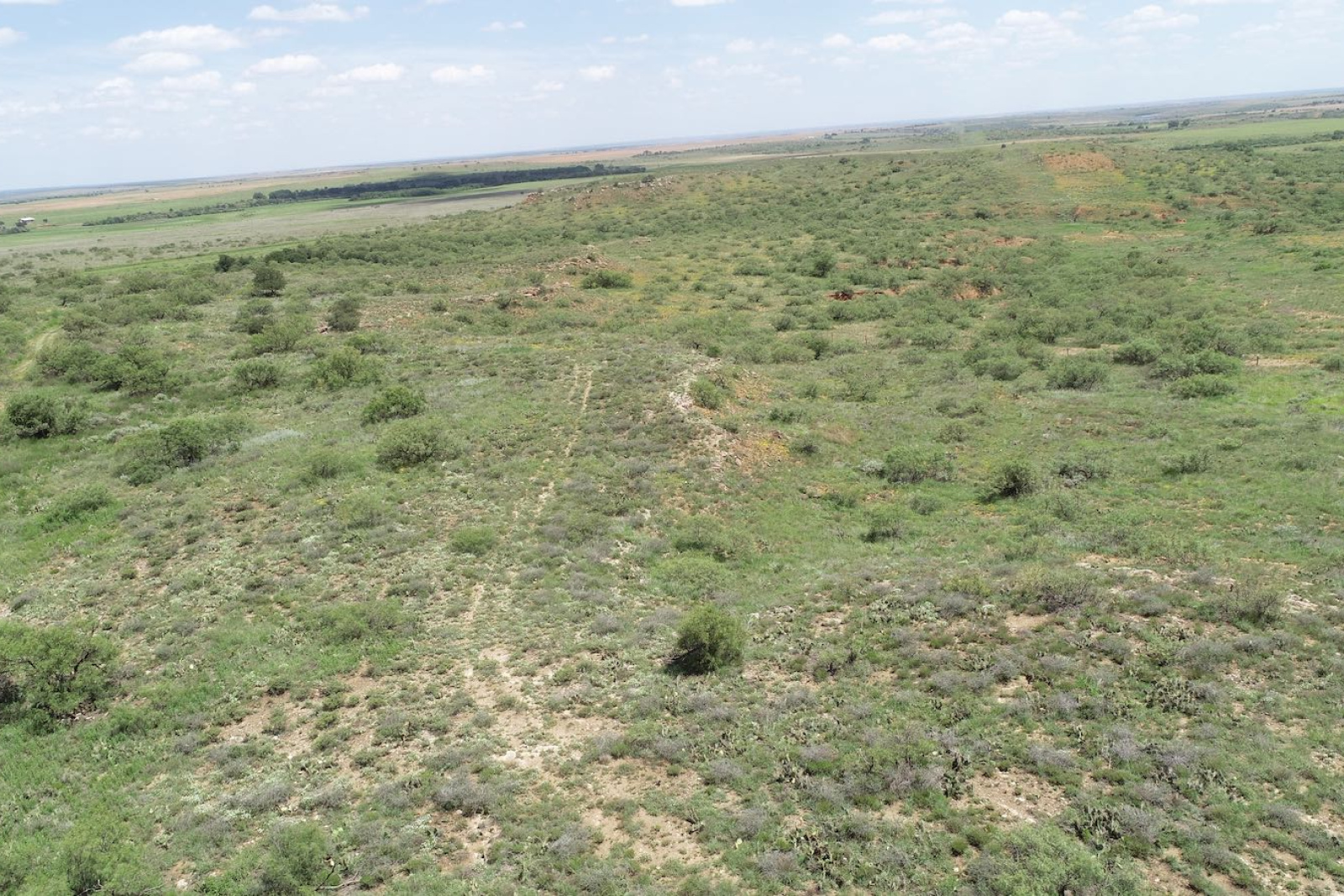 Hall County, Texas, ,Land,For sale,1127 Hall County, Texas, ,Land,For sale,1127