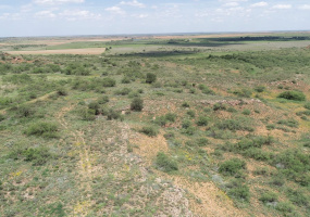 Hall County, Texas, ,Land,For sale,1127 Hall County, Texas, ,Land,For sale,1127