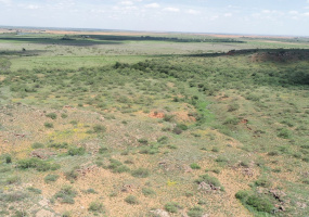 Hall County, Texas, ,Land,For sale,1127 Hall County, Texas, ,Land,For sale,1127