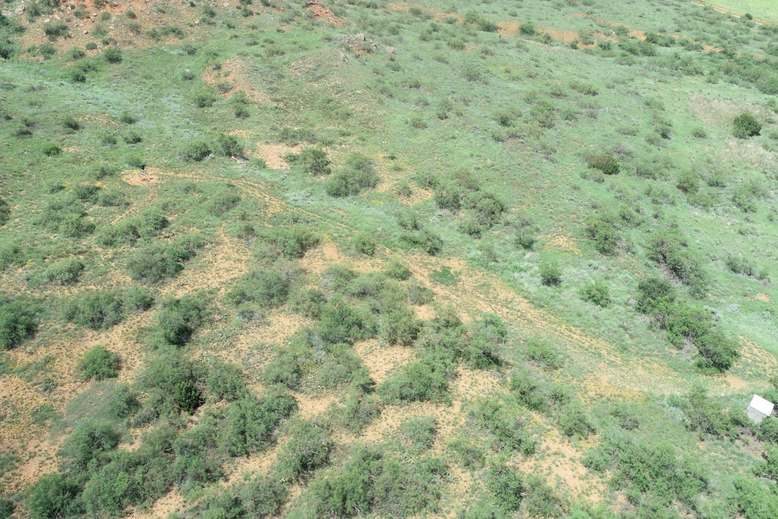 Hall County, Texas, ,Land,For sale,1127 Hall County, Texas, ,Land,For sale,1127