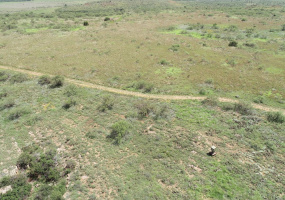 Hall County, Texas, ,Land,For sale,1127 Hall County, Texas, ,Land,For sale,1127