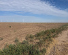 Hansford County, Texas, ,Land,For sale,1130