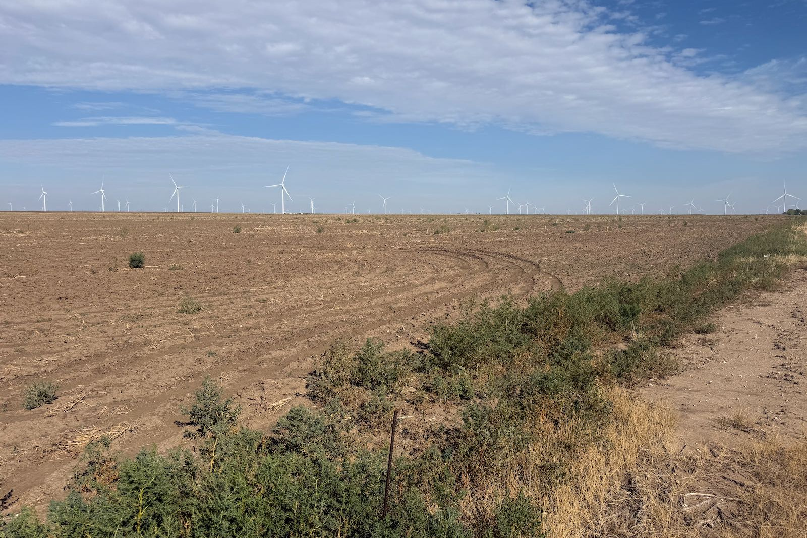 Hansford County, Texas, ,Land,For sale,1130