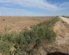 Hansford County, Texas, ,Land,For sale,1130