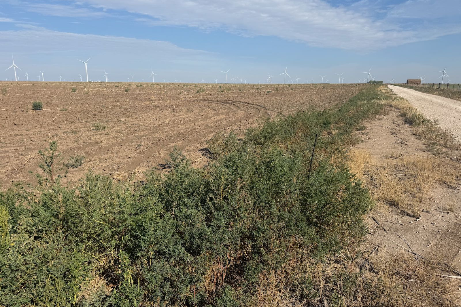 Hansford County, Texas, ,Land,For sale,1130