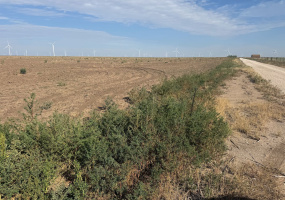 Hansford County, Texas, ,Land,For sale,1130
