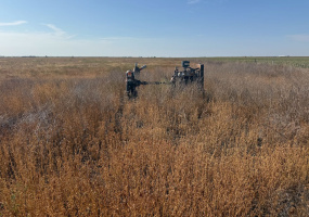 Hansford County, Texas, ,Land,For sale,1130